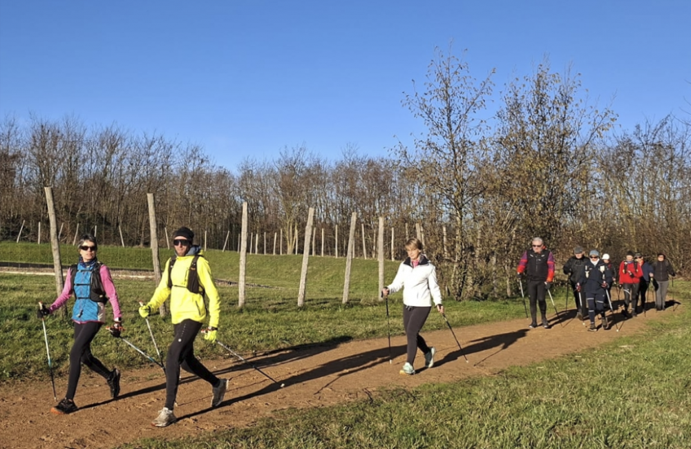 Capture d'écran 2026-03-01 174503